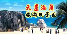 91嫩模国产免费看官网海南三亚-天崖海角旅游风景区